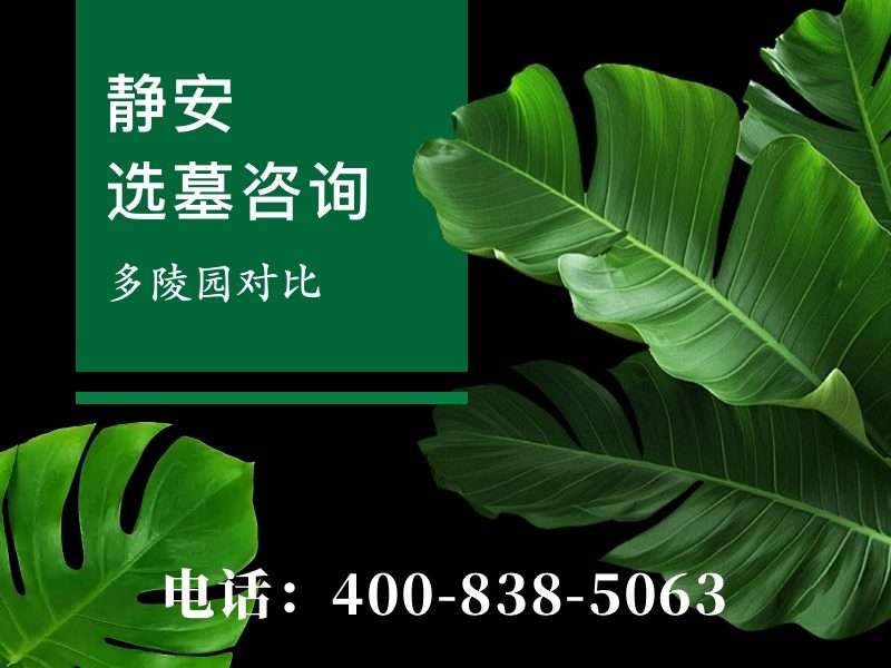 静安墓园相框墓碑：遗照之外的情感寄托与选择意义