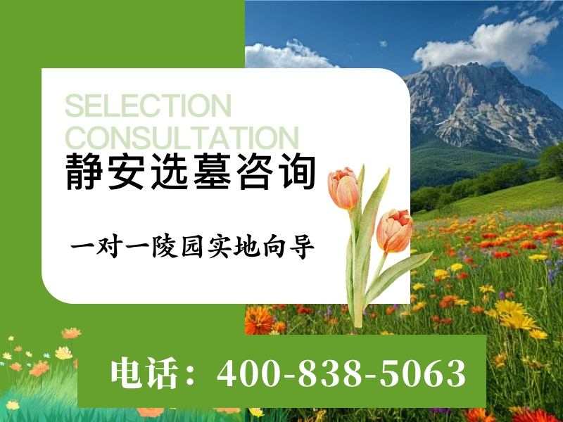 静安墓园春日玉兰香，庄严宁静香飘小路
