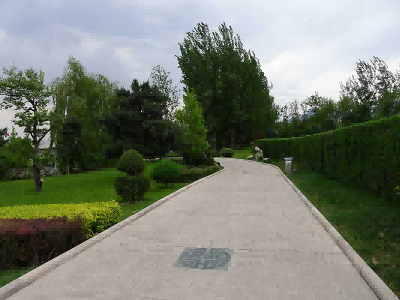 入殓仪式要注意什么(殡葬一条龙负责入殓吗) 入殓仪式要注意什么(殡葬一条龙负责入殓吗)
