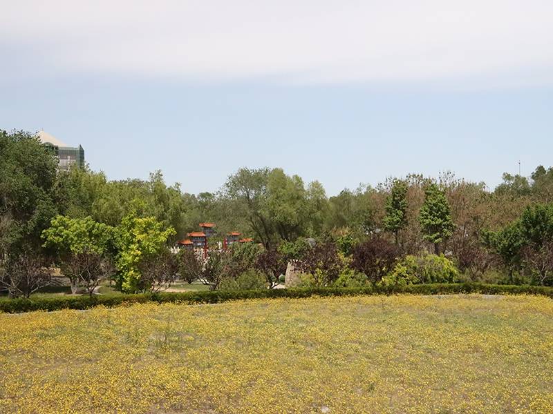 北京静安墓地价格表是什么呢（北京静安墓地环境如何）