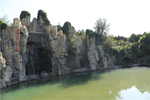 景仰园生态葬价格多少钱(生态葬价格贵吗) 景仰园生态葬价格多少钱(生态葬价格贵吗)