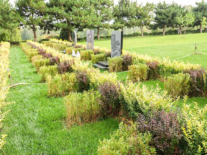 北京惠灵山陵园预约电话是多少（惠灵山自然葬是什么意思）