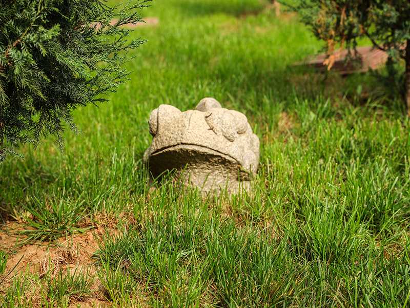 墓地里放那些陪葬品比较好呢（陪葬品在哪里购买）