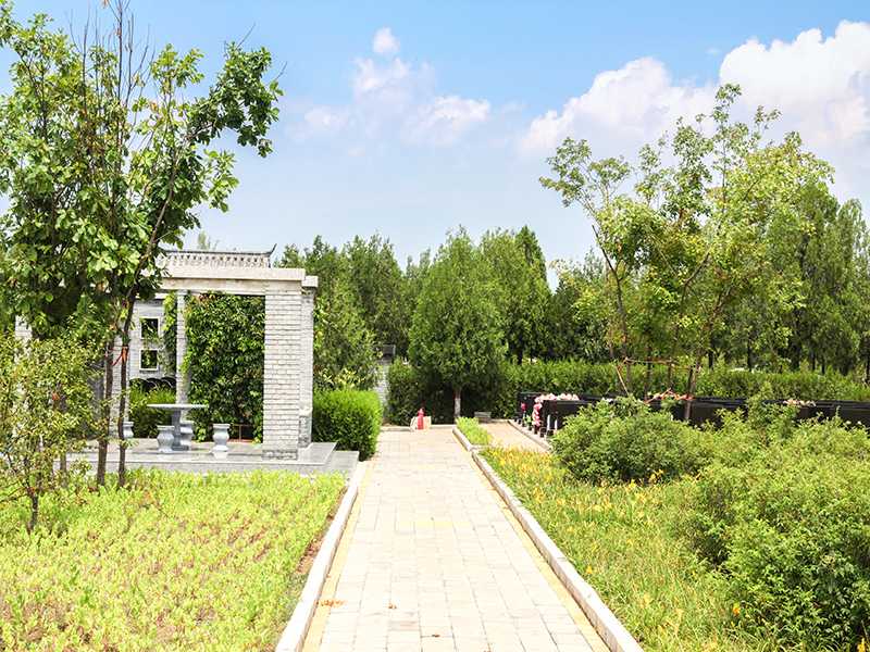 金山陵园在哪(金山陵园好不好) 金山陵园在哪(金山陵园好不好)