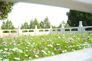 太子峪陵墓怎么样（太子峪现在还有卖吗）